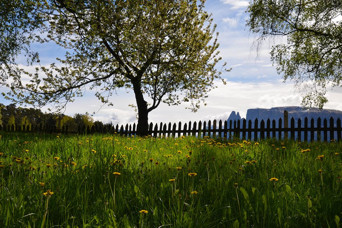 Steinmannhof 15.05.2017